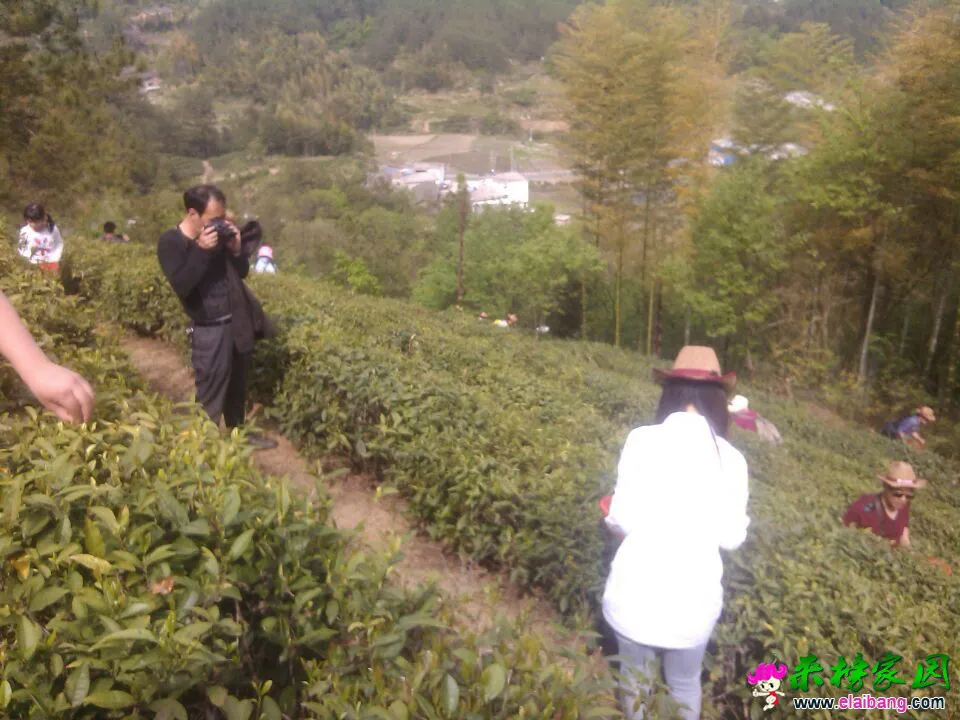 QQ图片20150426160602.webp