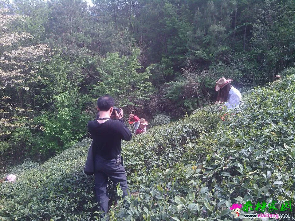 QQ图片20150426160617.webp
