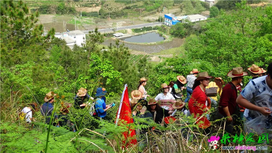 DSC00472.webp