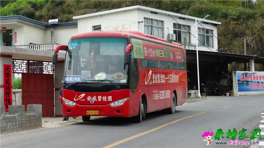 DSC00550.webp