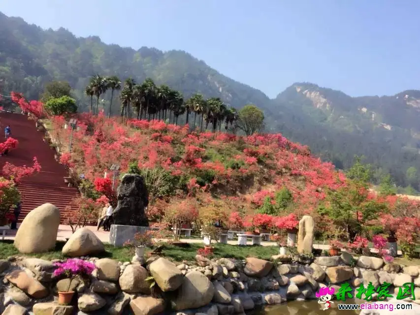 212509tmqq2imdv27z39c2.webp