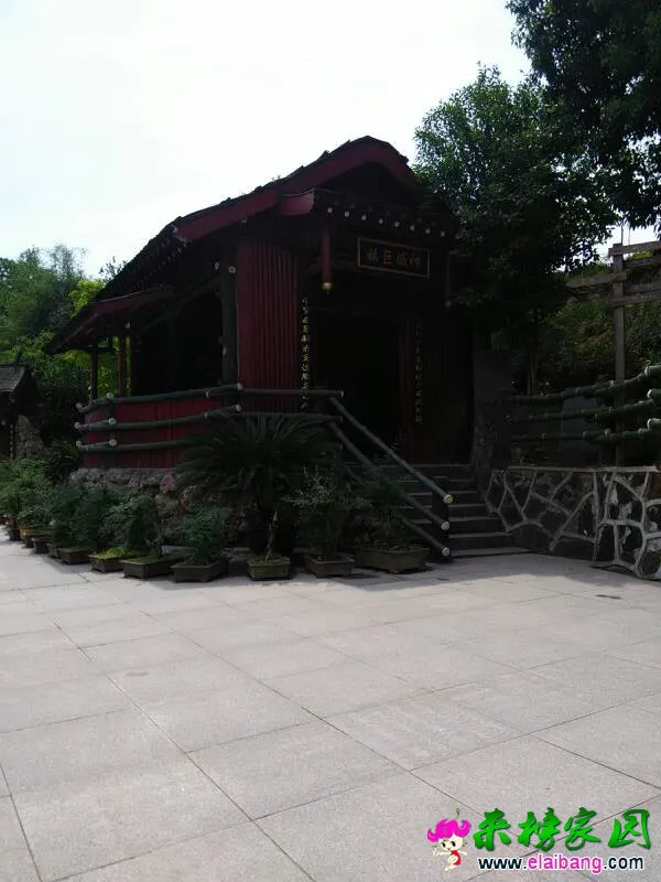 102525t3d9api60atd89x0.webp