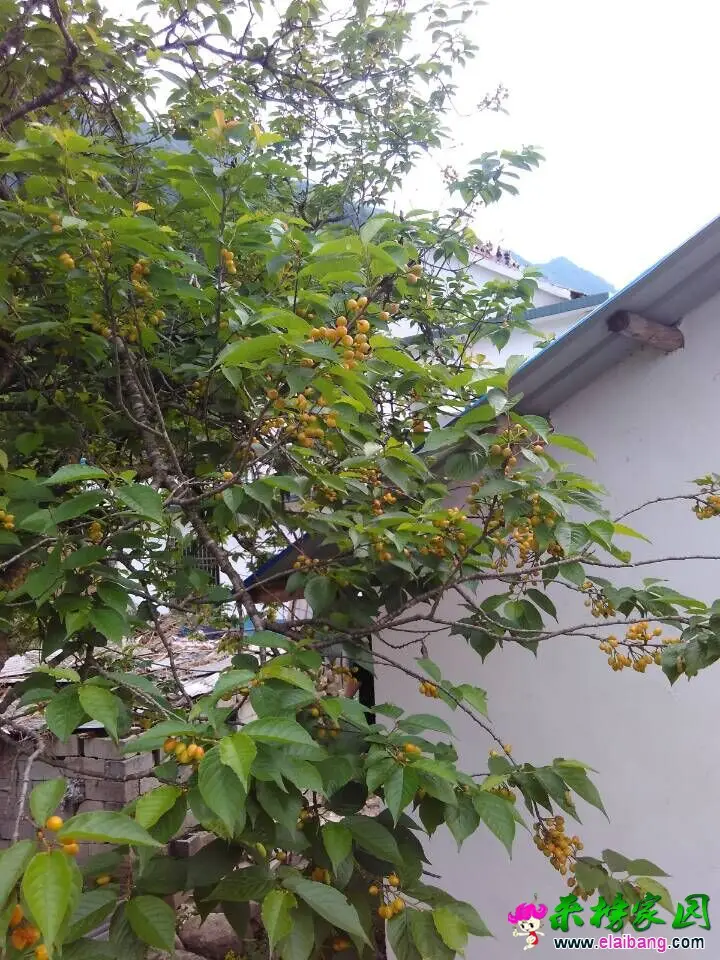 QQ图片201504291851051.webp
