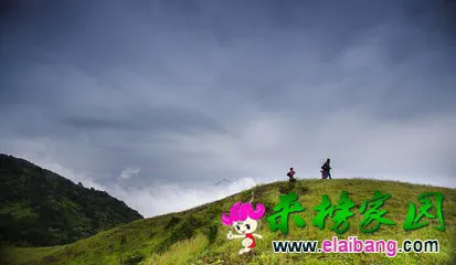 t01462ea3bd8f81326a.webp