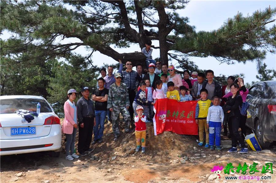 DSC_1010.webp