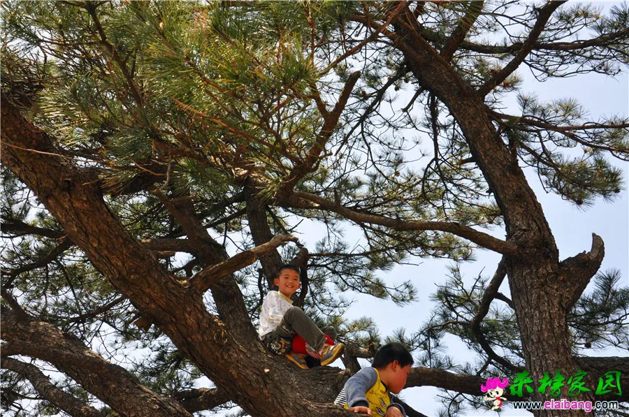 DSC_0993.webp
