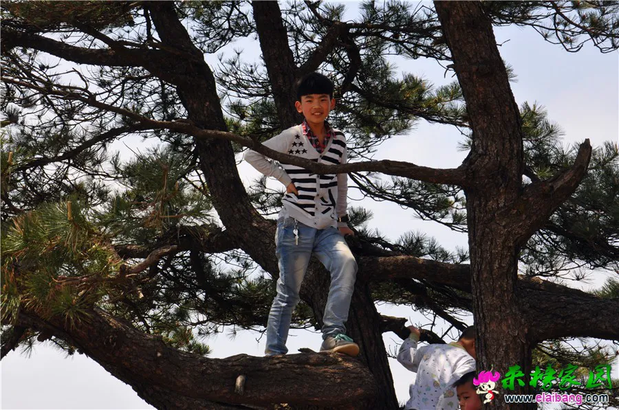 DSC_1005.webp