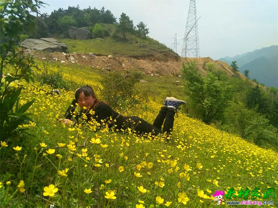 QQ图片20150501155848.webp