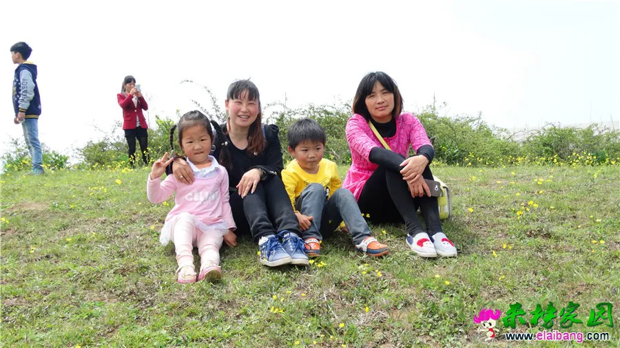 DSC00601.webp