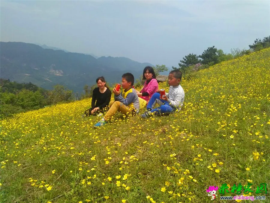 QQ图片20150501155758.webp