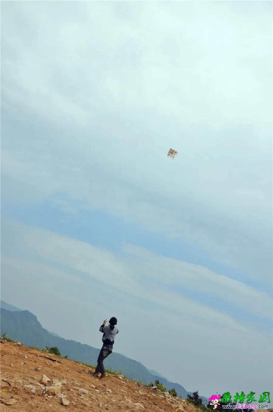 DSC_0941.webp