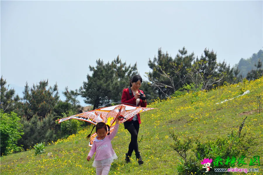 DSC_0957.webp