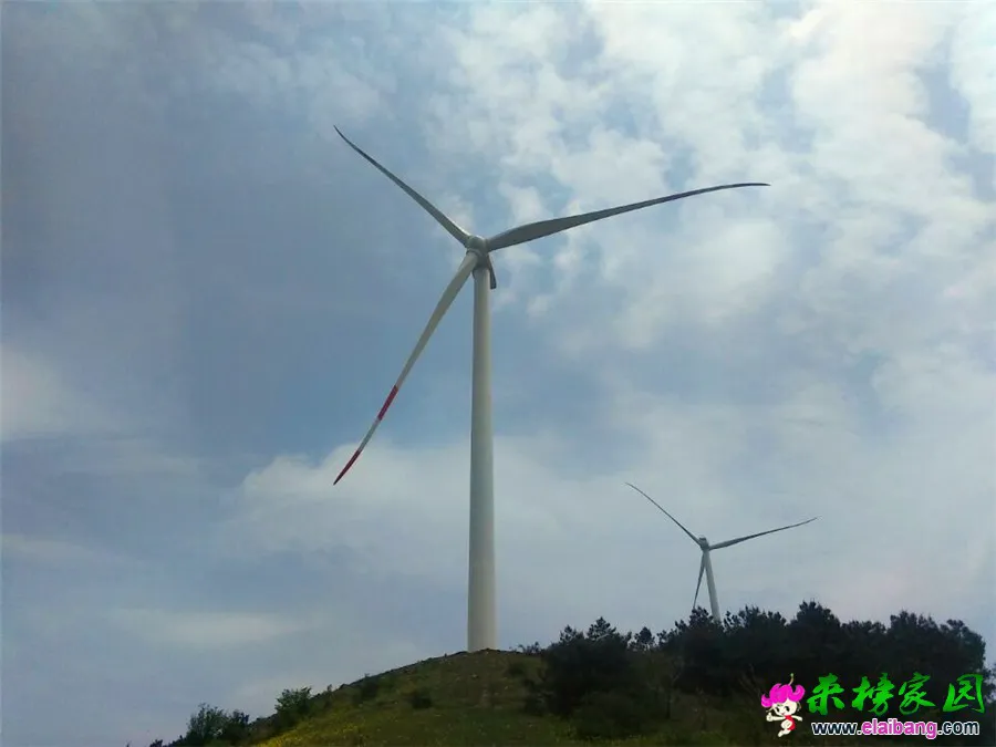 QQ图片20150501155541.webp