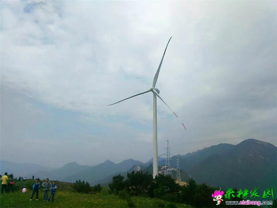QQ图片20150501155819.webp