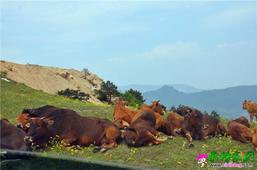 DSC_1030.webp