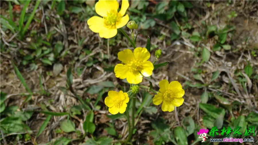 DSC00606.webp