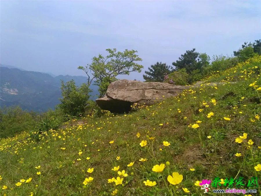 QQ图片20150501155831.webp