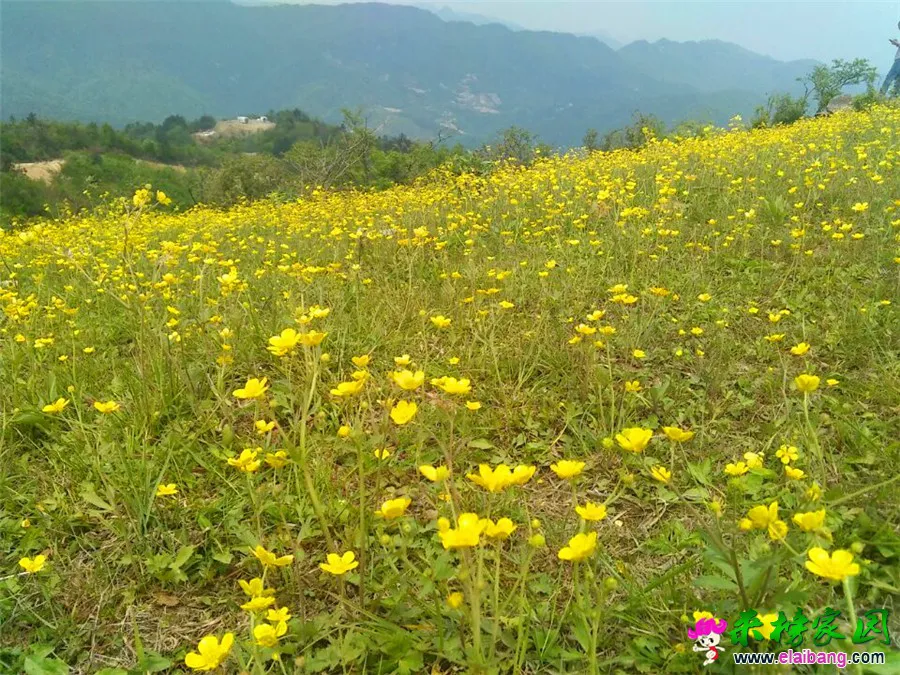 QQ图片20150501155837.webp