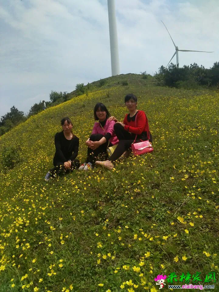 QQ图片20150501170711.webp