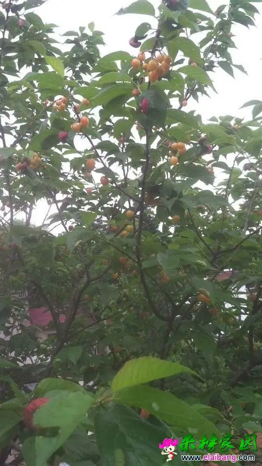 QQ图片20150502111302222.webp