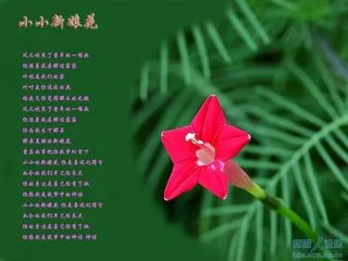 t01cf4c2f8bc7b61221.webp