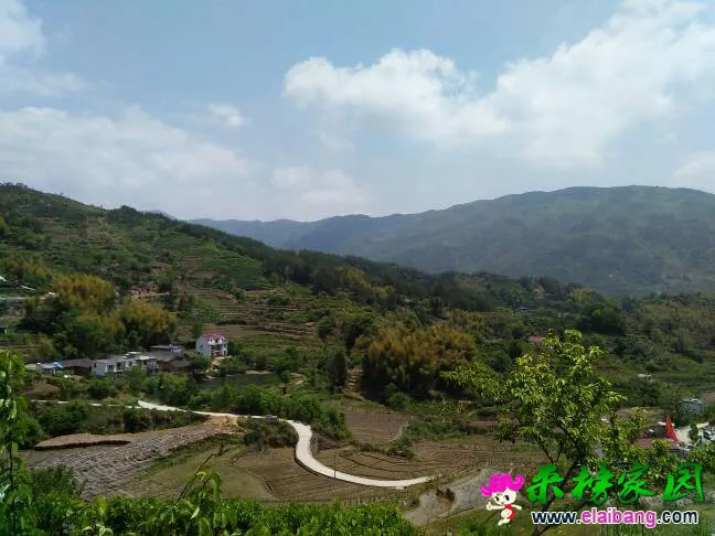 223226p72pypwtpt39pvxp.webp