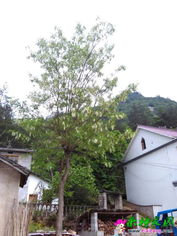 165657fge2sicu1u6vmcji.webp