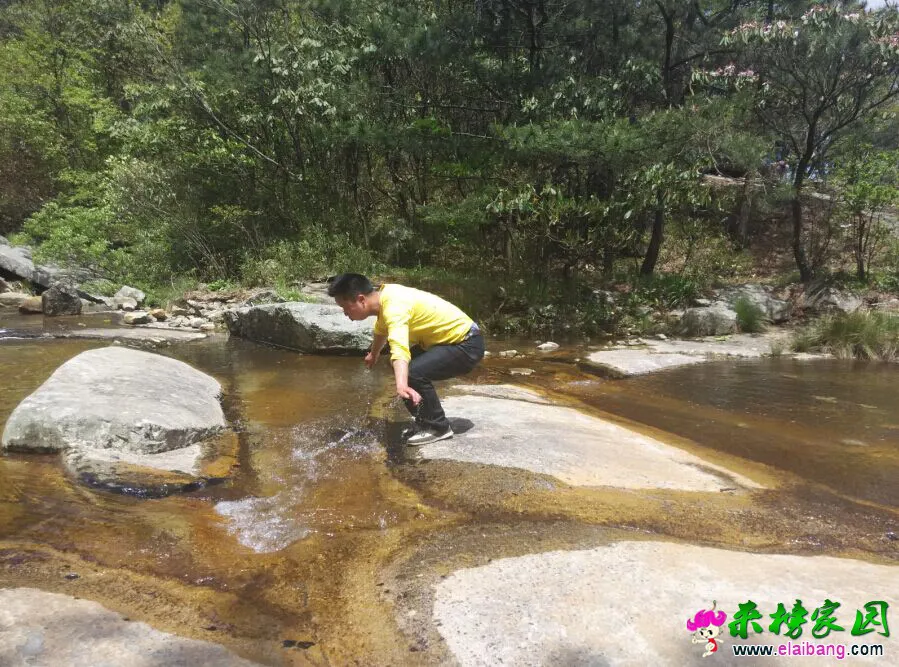 QQ图片20150504193657.webp