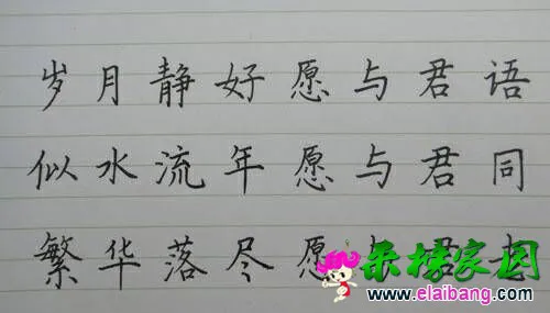 小道子作品