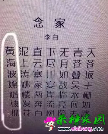 640.webp (4).webp