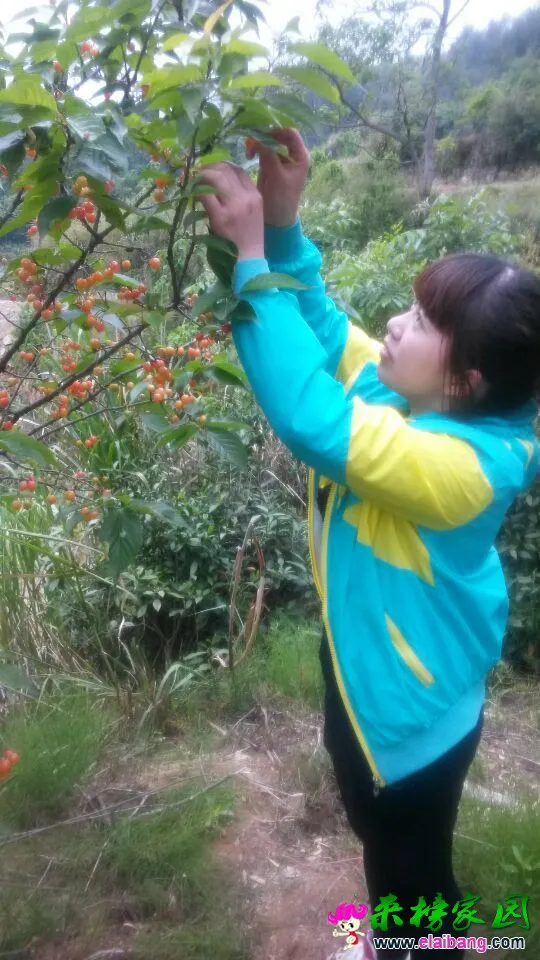 QQ图片201505051753165.webp