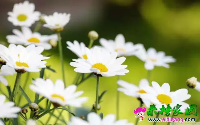 640.webp (1).webp
