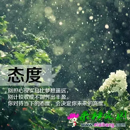 640.webp (1).webp