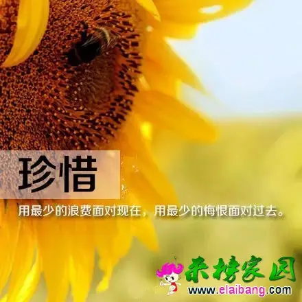 640.webp (6).webp