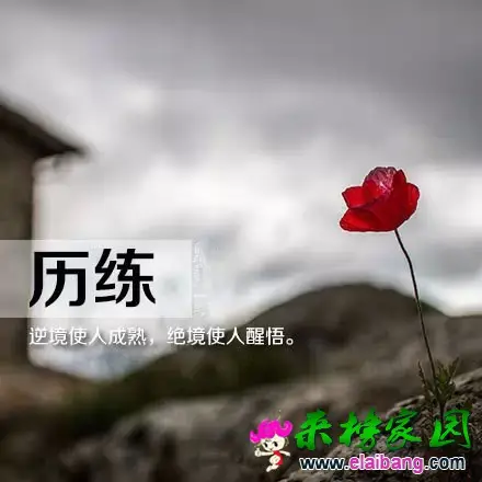 640.webp (7).webp