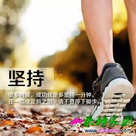 640.webp (8).webp
