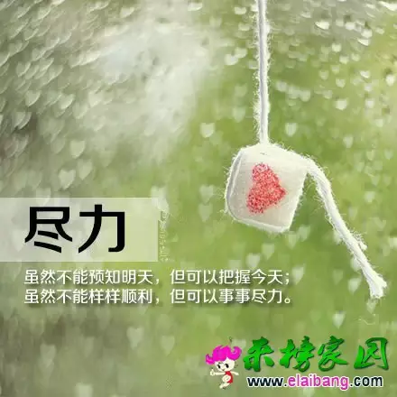 640.webp (5).webp
