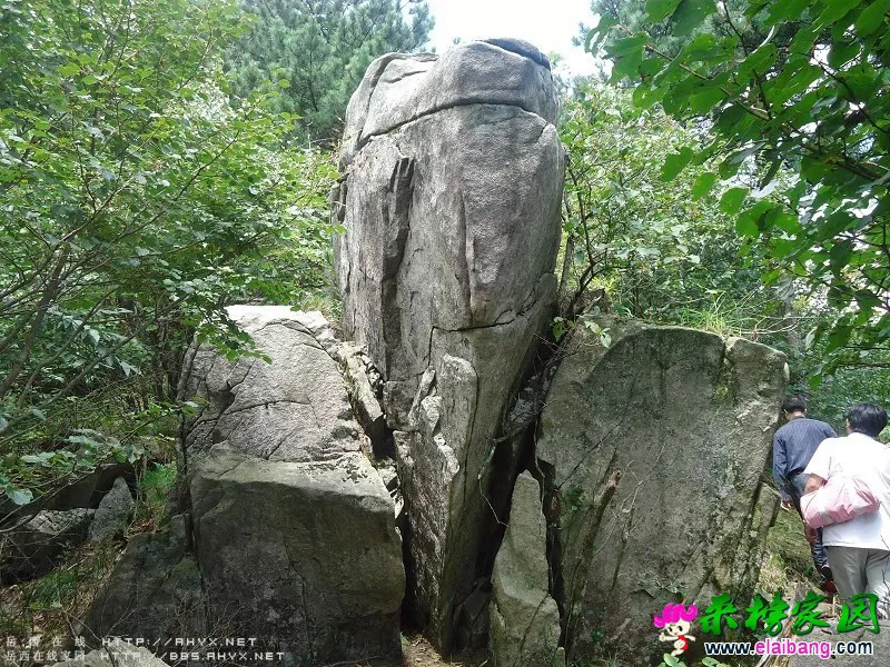 201635uqqr2e2fe5f5odrd.webp