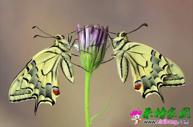 082128bz95cdnqqv46x9c6.webp