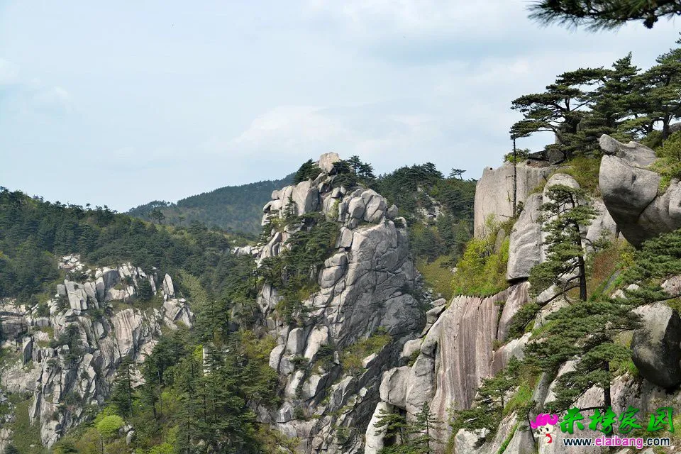 无限风光在险峰.webp