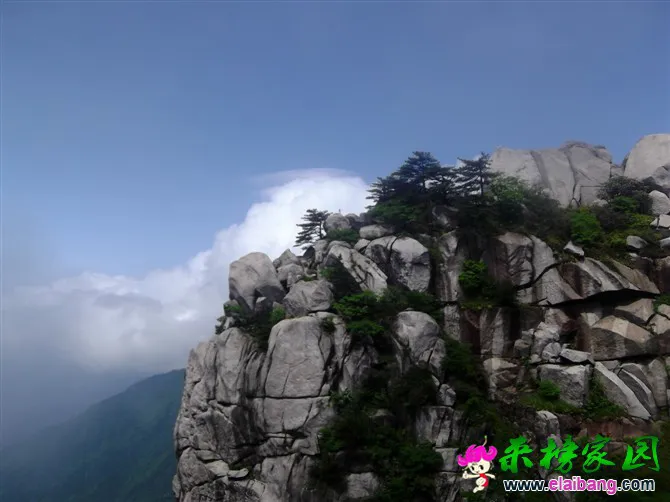 天台.webp