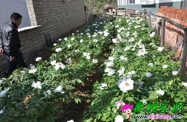 2015050716485677.webp