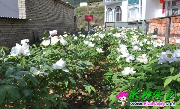 2015050716504788.webp