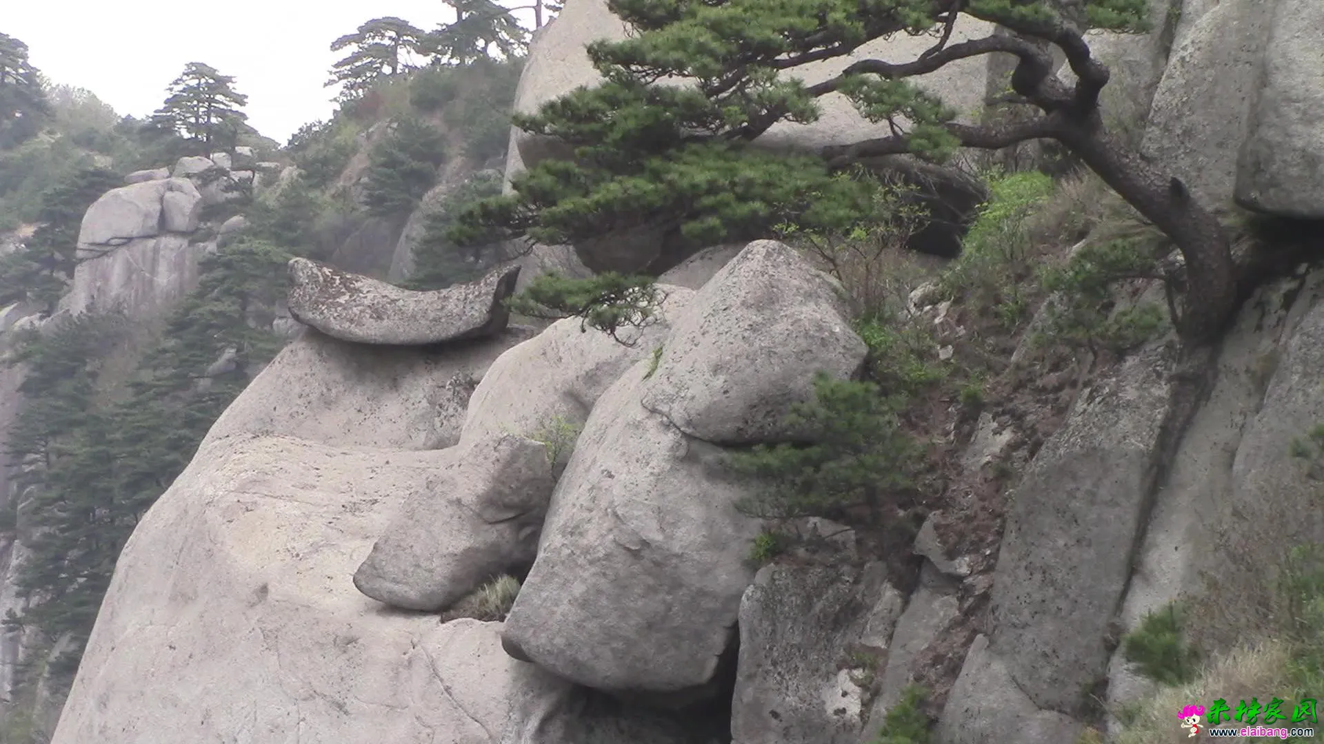 驮尖棺材石.webp