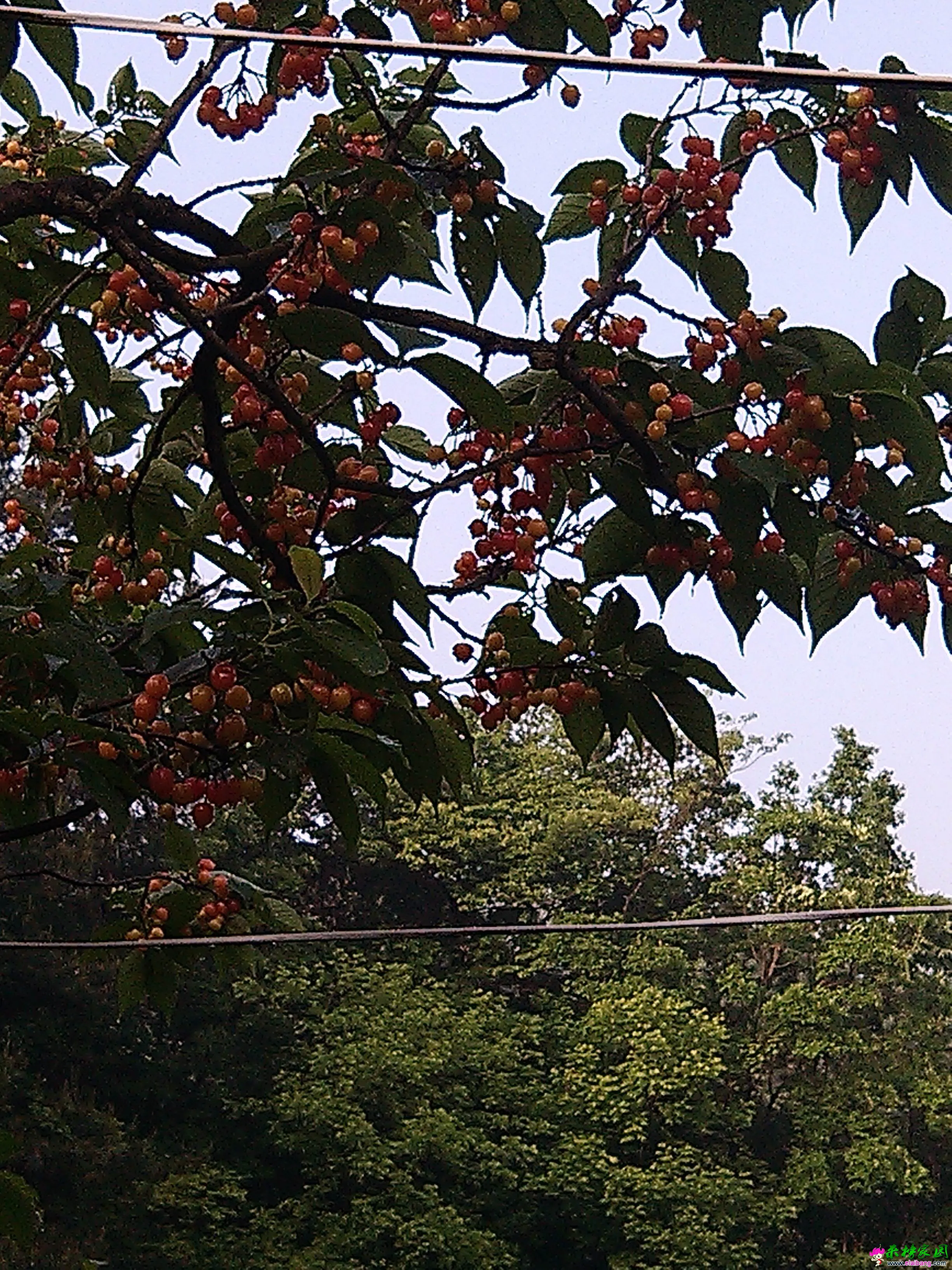 IMG_20150509_070033.webp