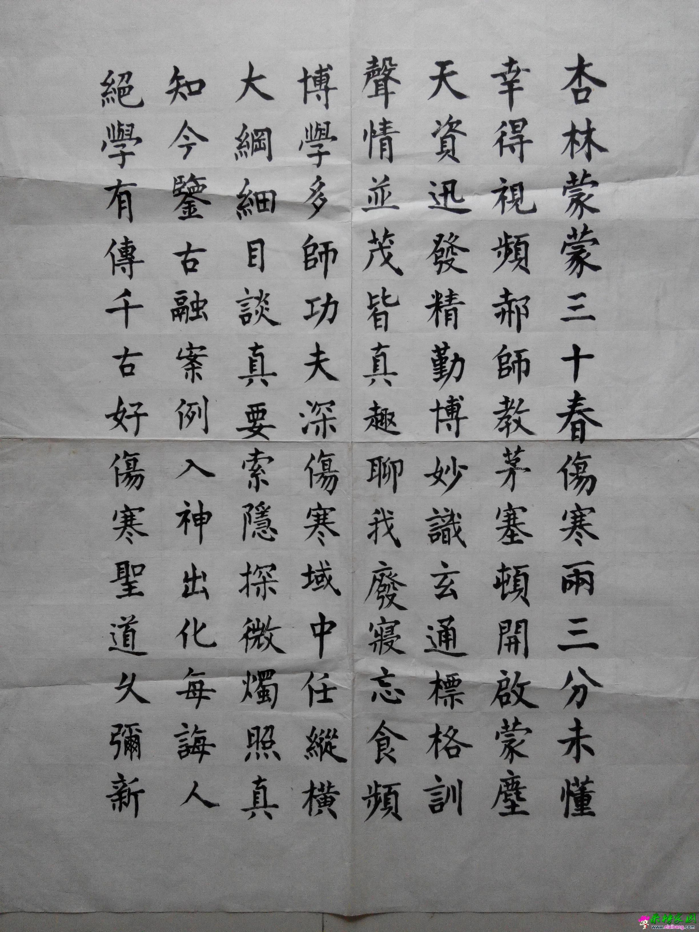 观郝万山教授讲《伤寒论》视频有感