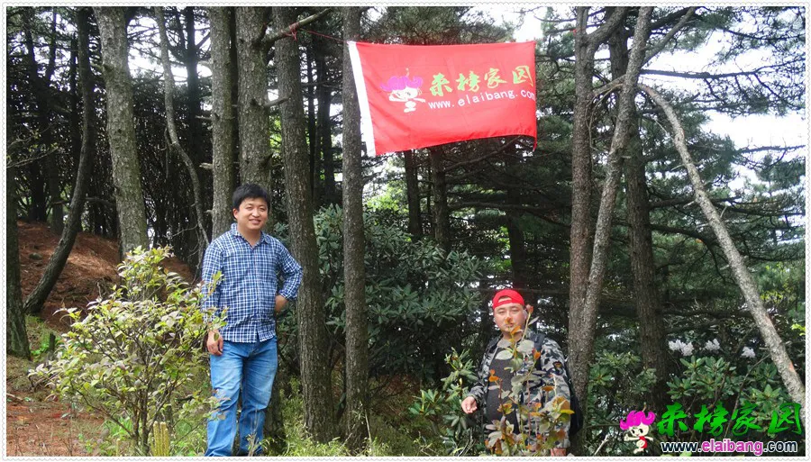 DSC00769.webp