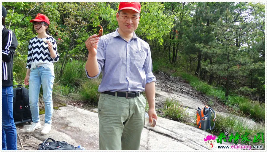 DSC00645.webp