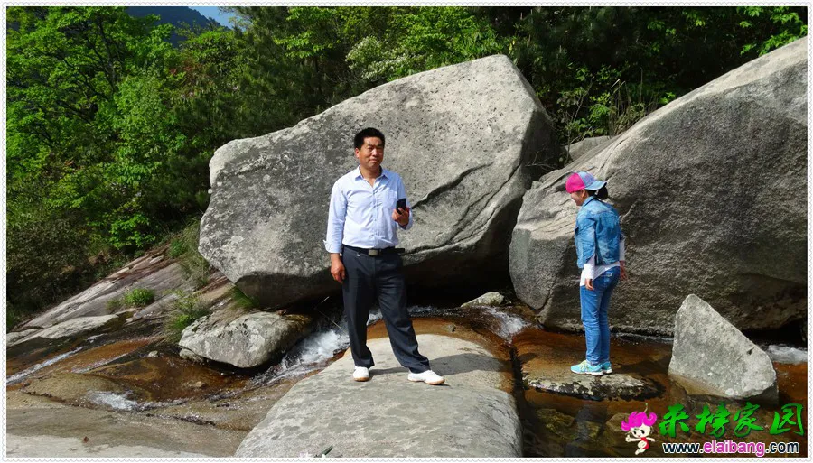 DSC00649.webp