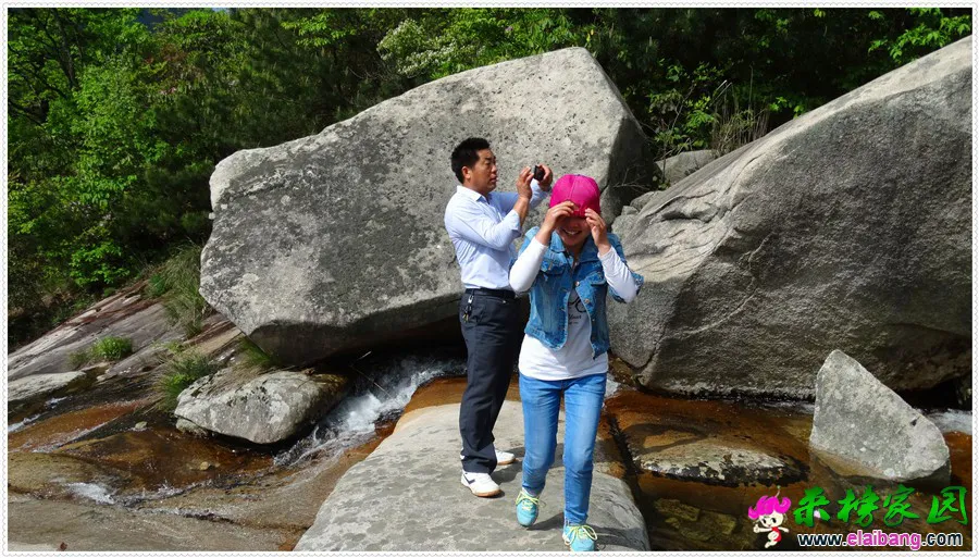 DSC00650.webp